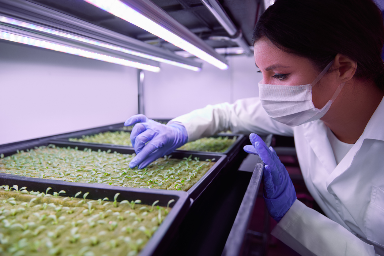 Plant crops female scientist