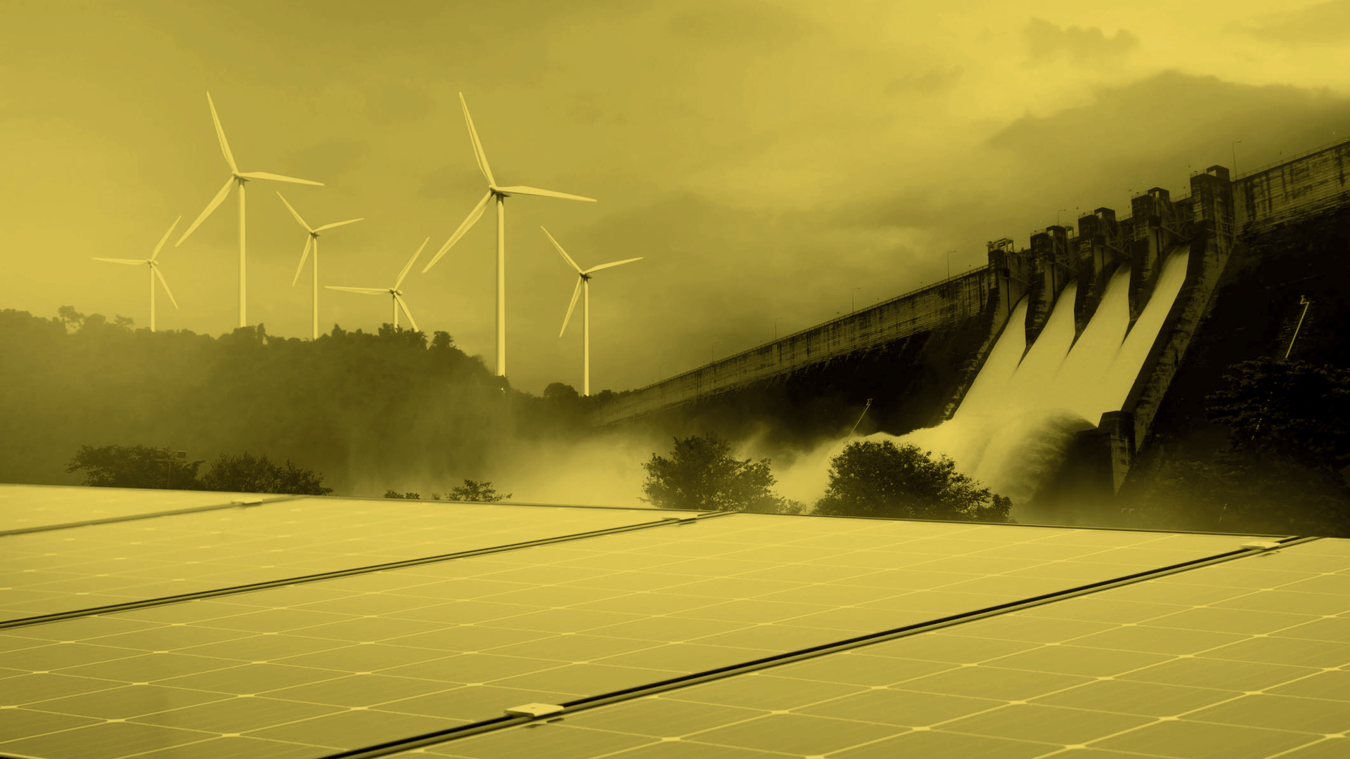 2. IMG Our Priorities CC 3