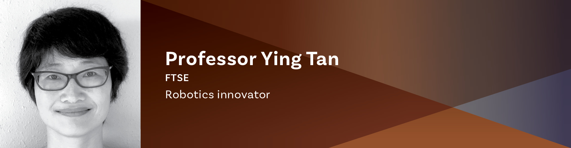 Ying Tan