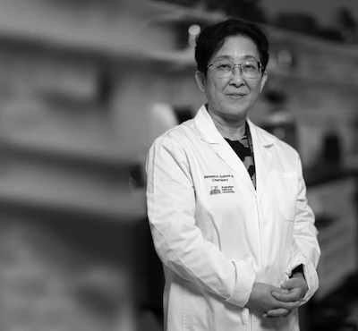 Professor Yun Liu