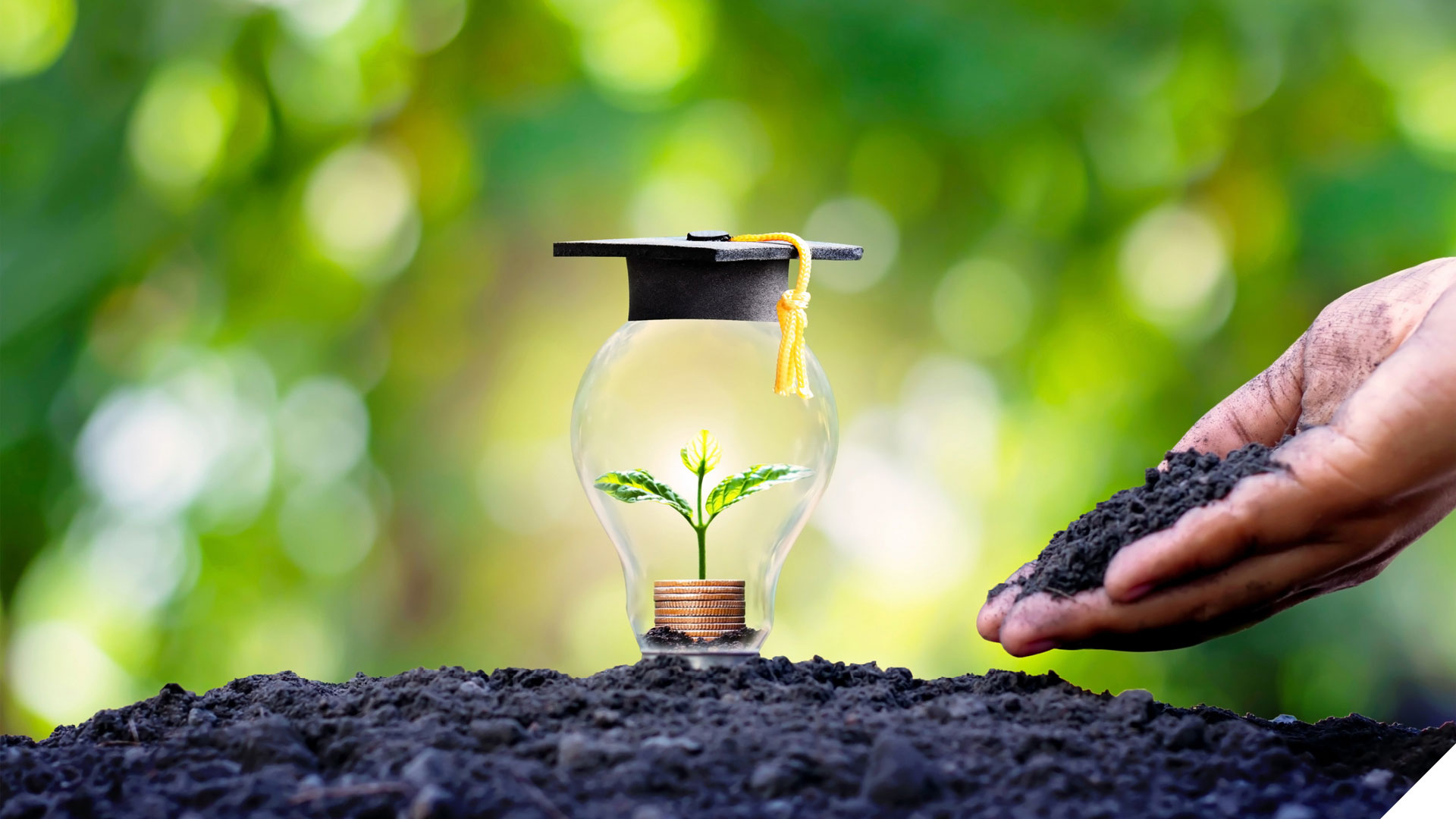 Seedling and coins inside a lightglobe wearing a mortar board and a hand offering soil for it to grow