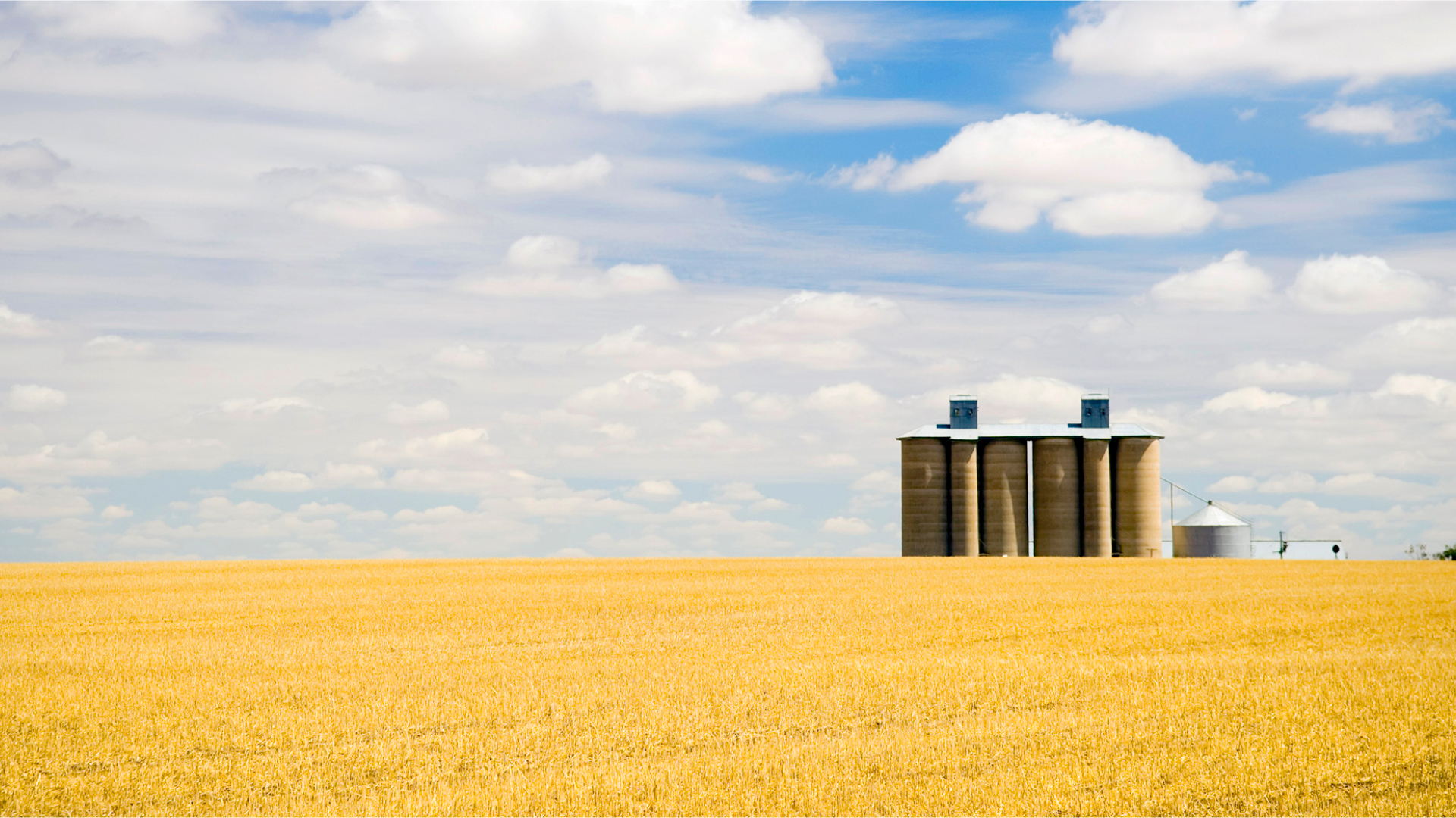 ATSE Silo In Wheat Field